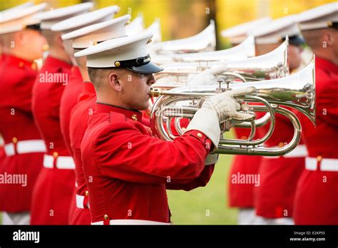 Drum And Bugle Corps High Resolution Stock Photography And Images Alamy