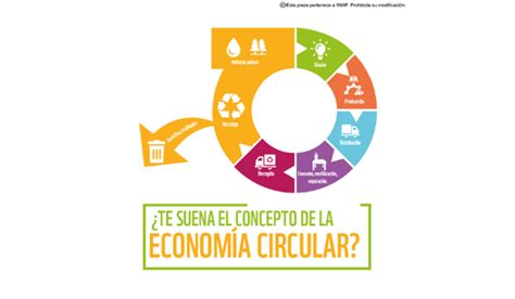 En qué consiste la economía circular del plástico WWF