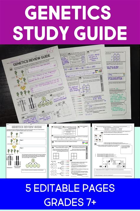 Genetics Study Guide Genetics Lesson Biology Classroom Teaching Science