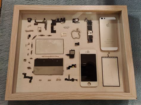 Apple IPhone 5S Teardown Framed Disassembled Cell Phone Component