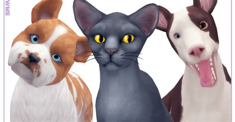 Three Dogs And A Cat Are Shown In This Digital Painting Style