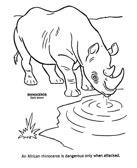 African Animals Coloring Pages Coloring Home