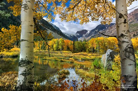 Glory Of Autumn In The Sierra Nevada Preferred Viewing Wa Flickr