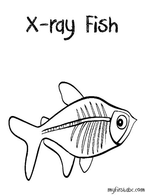 x ray fish coloring page coloring home