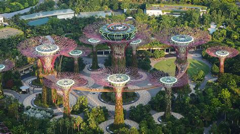 Images Singapore Gardens By The Bay Nature Park From Above 1920x1080