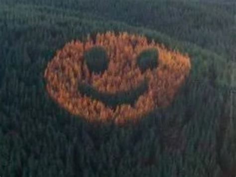 Smile Back At Oregons Smiley Face Forest Yodoozy®