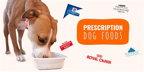 Royal canin® dog food is designed to provide the most precise nutritional solution for your dog's life stage and health consideration. Prescription Dog Foods - Reviews, Cost, Brands, Benefits & FAQ