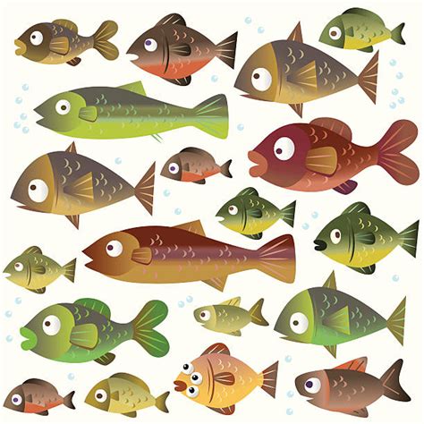 School Of Fish Clip Art Vector Images And Illustrations Istock