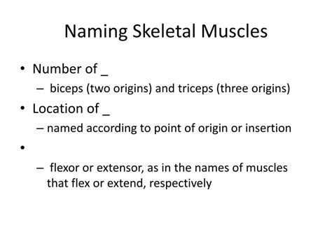 Ppt Interactions Of Skeletal Muscles Powerpoint Presentation Free
