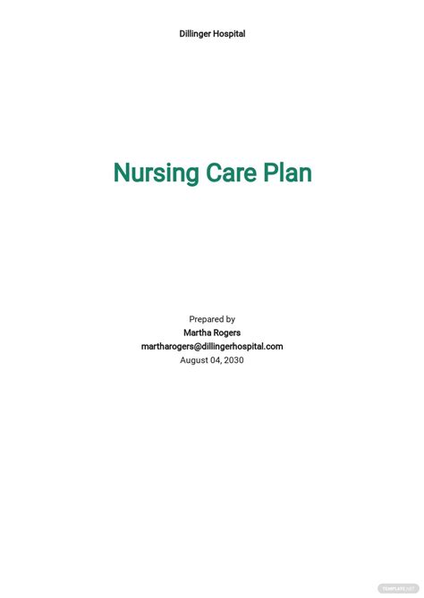 Nursing Care Plan Templates Blank