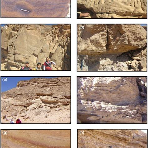 Lithostratigraphic Setting Of The Nubia Sandstone In Gebel Duwi Area