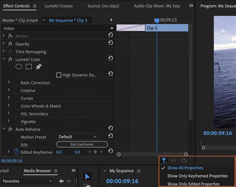 Viewing And Adjusting Effects And Keyframes In Premiere Pro