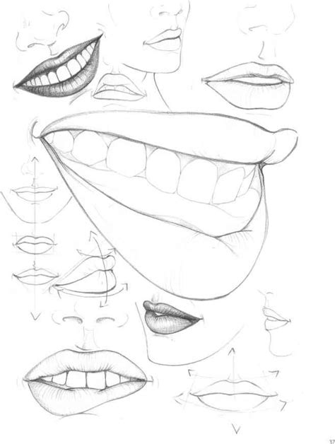 Anime Noses Drawing At Getdrawings Free Download