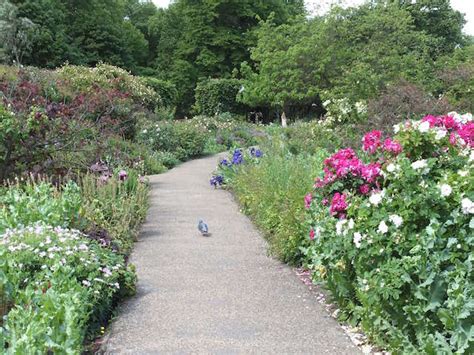 London Bike Trails In Hyde Park Green Park