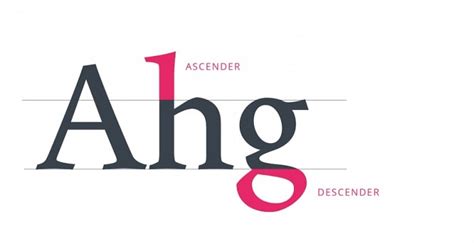 What Is A Descender And How To Use It In Your Designs