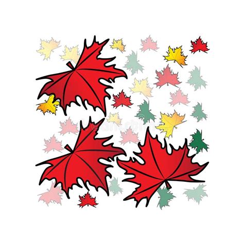 Maple Leaves Stock Vector Illustration Of Botany Background 48256246