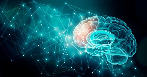 What Is Brain Science Regional Neurological Associates