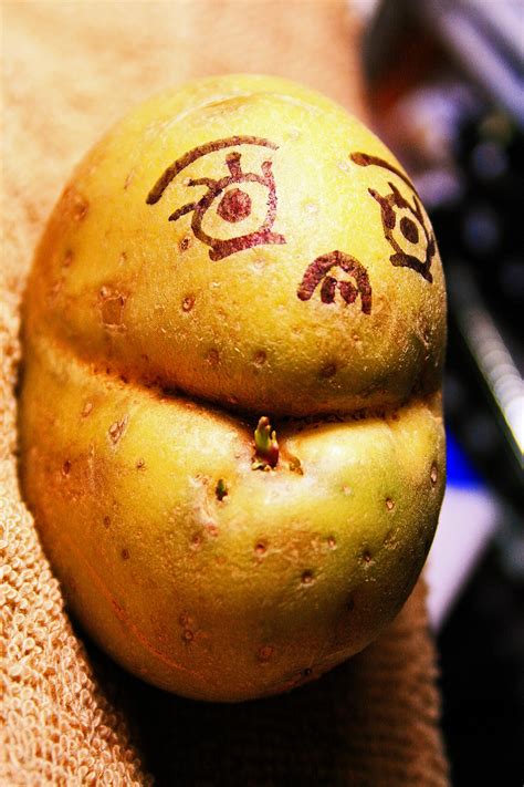 Toothed Potato Face Free Stock Photo Public Domain Pictures