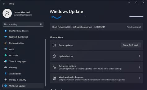 Windows 11 Insider Preview Stability