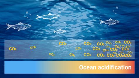 What Is Ocean Acidification Iaea