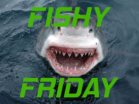 CAB TV | Funbucket 33⅓ (13.03.20)