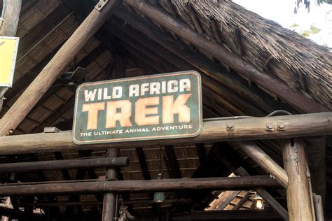 Disneys Wild Africa Trek Review Thyme And Love