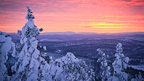 Finnland Lappland Winter Schnee Wald Sonnenuntergang Himmel