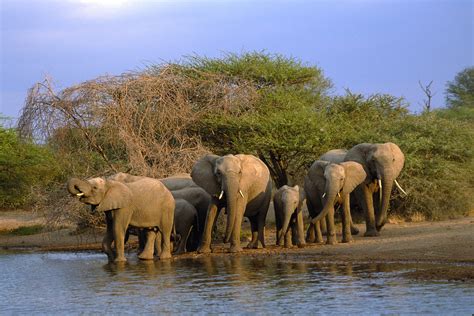 Kruger National Park Wildlife Plus Experiences Sa Specialist