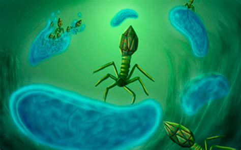 Real 3d models of biological molecules are shown on wallpaper image. Scientists make discovery in field of synthetic biology ...