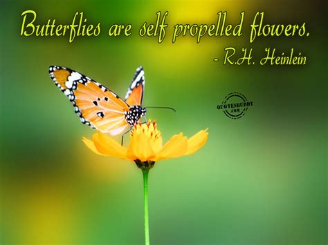 We did not find results for: Free Wallpaper Dekstop: Quotes flowers, quotes about flowers