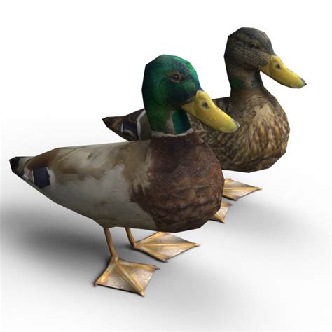 3ds Low Poly Ducks