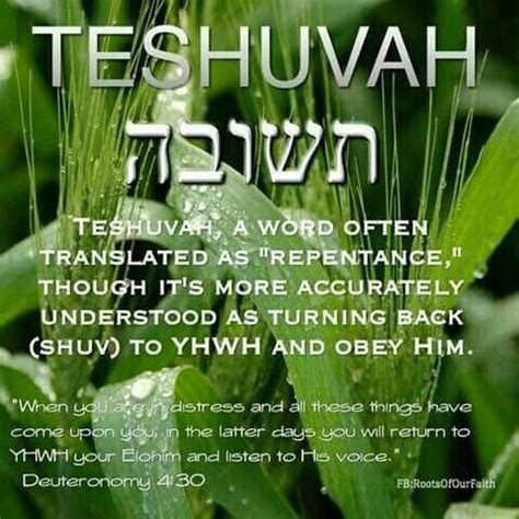 Pin By Bill Acton On HEBREW LANGUAGE Learn Hebrew Hebrew Vocabulary