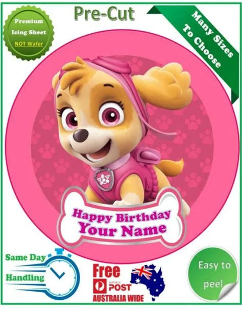 Paw Patrol Skye Icing Edible Birthday Party Cake Decoration Topper