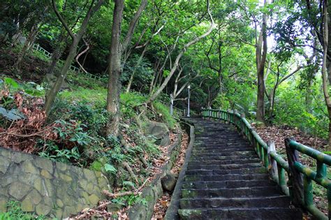 黃竹坑站（英語：wong chuk hang station）是一個位於香港香港島南區黃竹坑涌尾和深灣，屬於港鐵南港島綫的鐵路車站，2016年12月28日啟用。 黃竹坑站是一座架空車站，建於香葉道一段已覆蓋的黃竹坑明渠之上。 島國拾影: 【台北市】貴子坑水土保持教學園區．貴子坑親山步道
