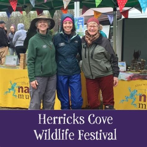 Herricks Cove Wildlife Festival — The Nature Museum