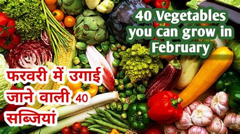 Best 40 Vegetables To Grow In February फरवरी मे उगाने वाले 40 बेस्ट