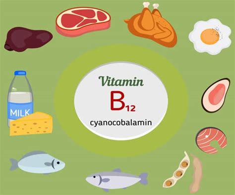 10 Alimentos Más Ricos En Vitamina B12 O Cianocobalamina