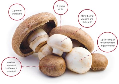 Nutritional Benefits of Mushrooms | Mushroom Council