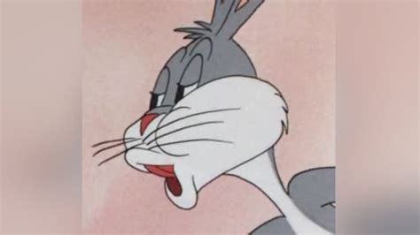 Pin amazing png images that you like. Bugs bunny meme - Posts | FoxyDoor.Com (With images ...