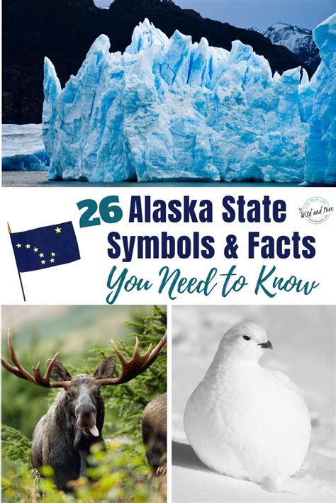 26 Alaska State Symbols And Facts You Need To Know Alaska Travel