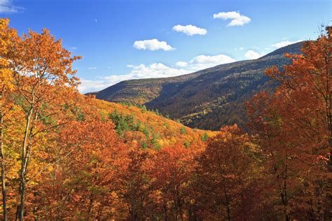 Fall Foliage In The Catskills Windham New York Albergo Allegria