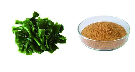 High Quality Weight Loss Product Fucoxanthin 5 Hplc Fucoxanthin Powder