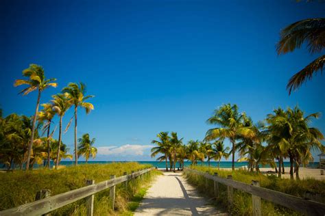 Top 10 South Florida Beaches with Playgrounds | South Florida Finds