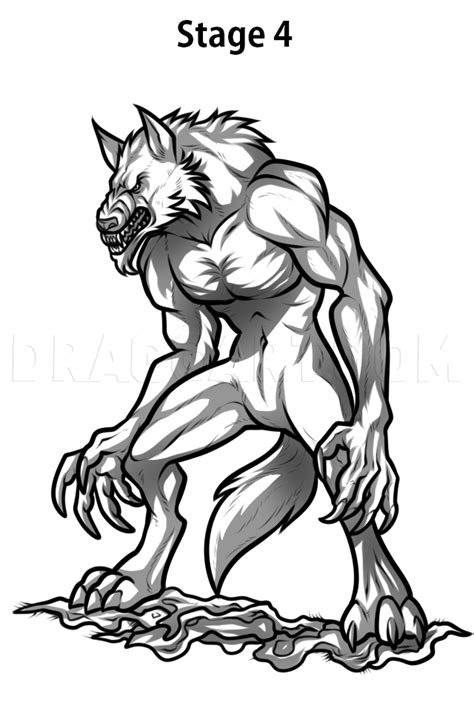 How To Draw Werewolf Transformations Step By Step Drawing Guide By Dawn Dragoart