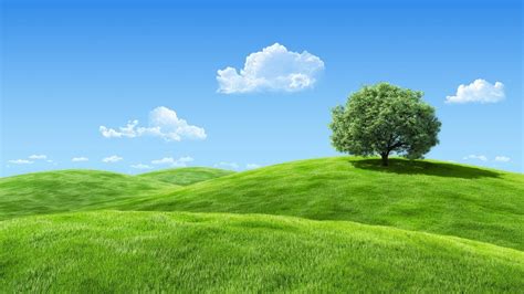 Field Hills Tree Nature Wallpapers Hd Desktop And Mobile Backgrounds