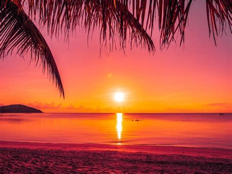 Free Photo Beautiful Tropical Beach Sea And Ocean With Coconut Palm