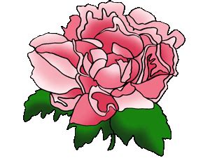These majestic carnations radiate sweet and glamourous color that will make your next event amazing! Clipart Panda - Free Clipart Images