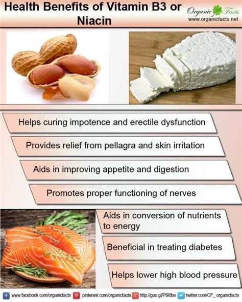 There are two major types of vitamin d: Health Benefits of Vitamin B3 or Niacin | Organic Facts ...