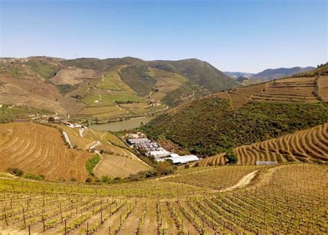 i organize tours in douro valley check this page for more information or send an email to sara