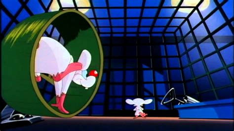 Pinky And The Brain Wallpaper Images